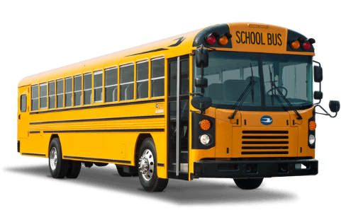 School & Commercial Buses